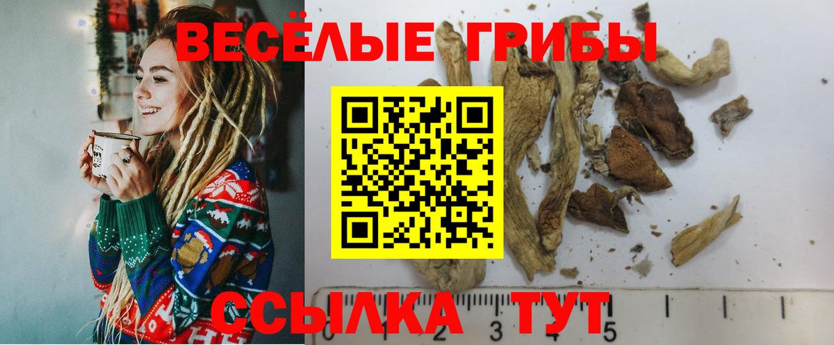 Киров  сколько стоит  Псилоцибиновые грибы Psilocybine cubensis  Вход с VPN  Галлюциногенные грибы мухоморы 
