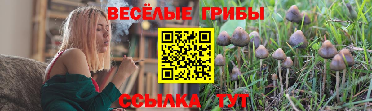 Галлюциногенные грибы прущие грибы Киров